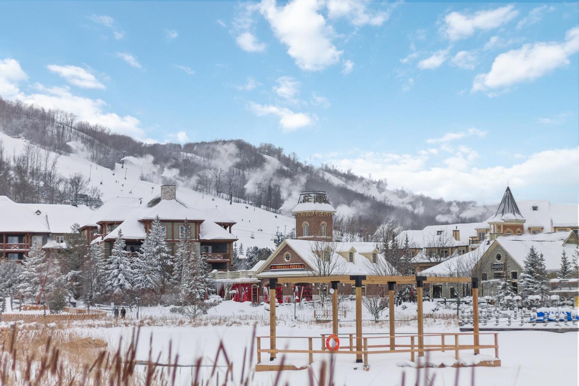 Lovely 3 Bedroom Wintergreen Retreat W Sauna ブルー・マウンテンズ エクステリア 写真