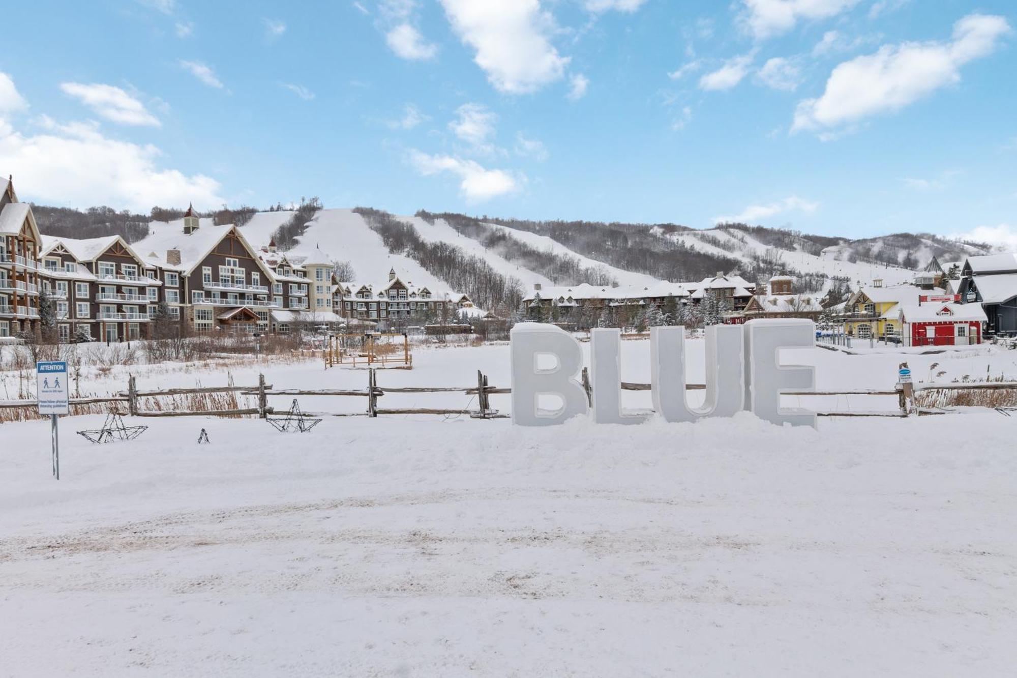 Lovely 3 Bedroom Wintergreen Retreat W Sauna ブルー・マウンテンズ エクステリア 写真
